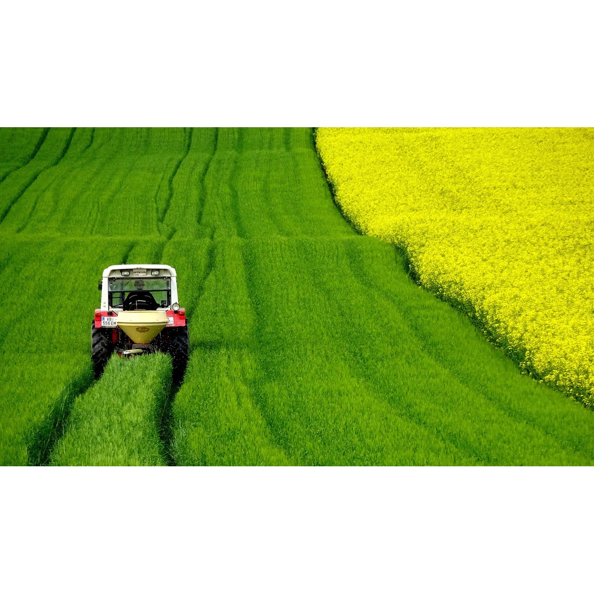 FSSC 22000, ISO 22000, HACCP Gains